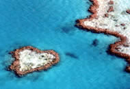 heart island